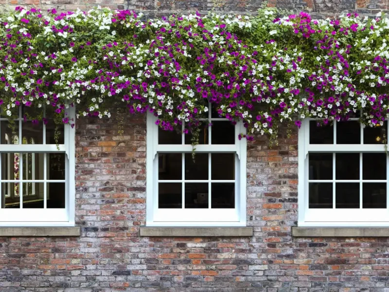 uPVC Windows Quotes Devon 